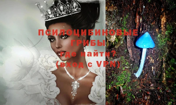 крисы Абинск